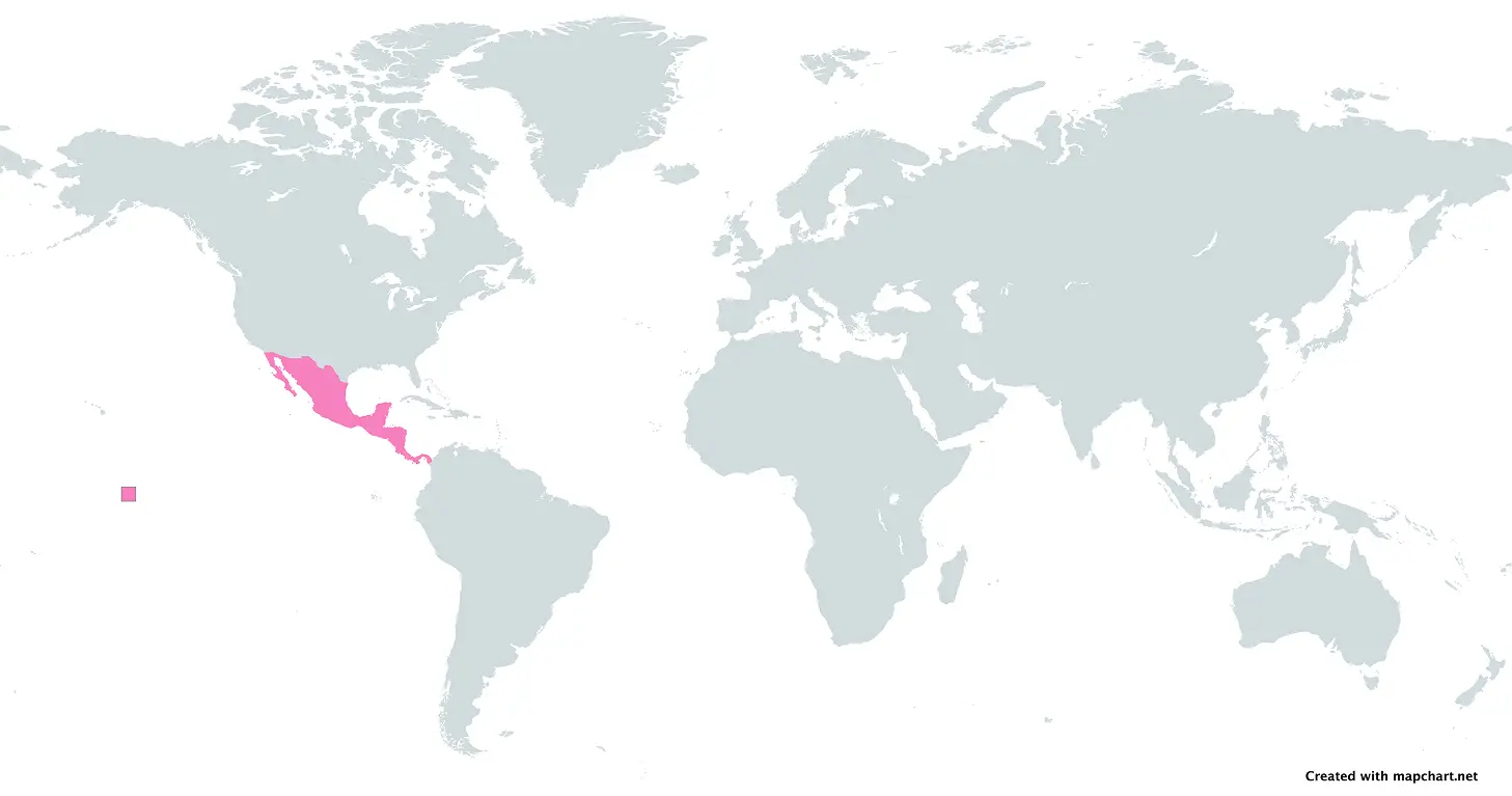 World Map with Central America Highlighted