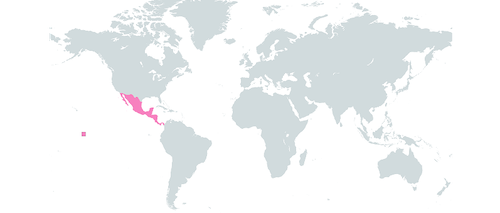 Mappa del mondo con l'America Centrale in evidenza