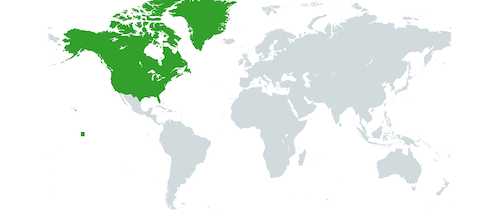 Mapa do Mundo com América do Norte Destacada